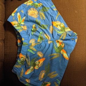 Patagonia baggies parrot port blue 2 1/2" inseam